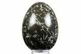 Polished Chinese Writing Rock Egg - Philippines #334168-1